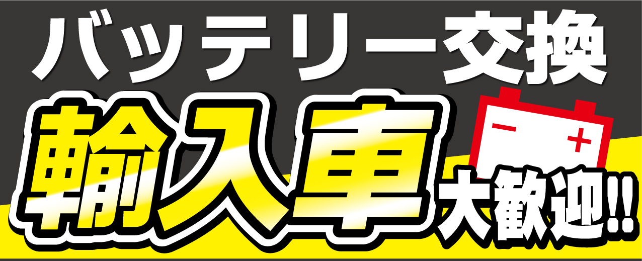 輸入車用バッテリー キャンペーン キャンペーン 柏沼南店 車検とカー用品販売ならオートウェーブ 千葉県内8拠点