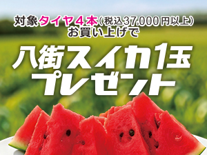タイヤを買うとスイカが貰える！キャンペーン！2025